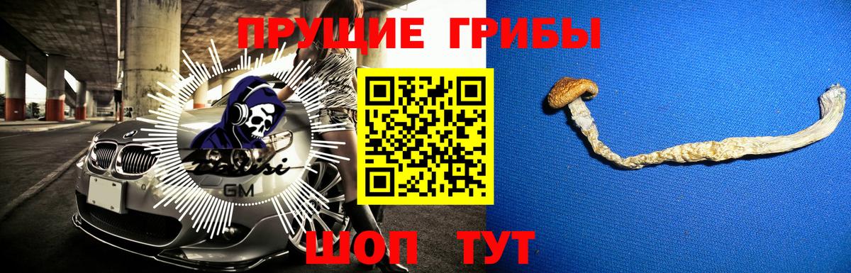 Галлюциногенные грибы ЛСД Коммунар